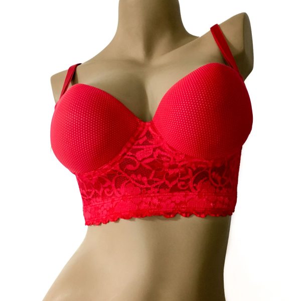 Brasier en Licra | Berthiuska | 388